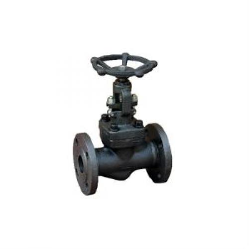 Flanged & Bw Ends Forged Globe Valve 150LBS - 2500LBS Flanged & Bw Ends Forged Globe Valve 150LBS - 2500LBS