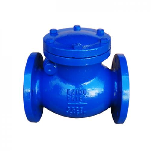 Cast Iron Swing Check Valve (BS5153) Cast Iron Swing Check Valve (BS5153)